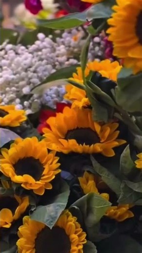 Different Types of Beautiful Flowers 🌸🌼🌹 | Nature Shorts