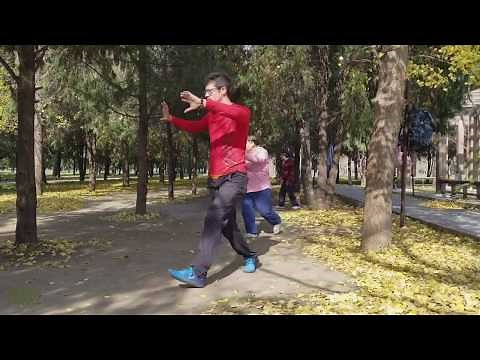 BaGuaZhang Stepping: A deep breakdown of Liang Style fundamentals.