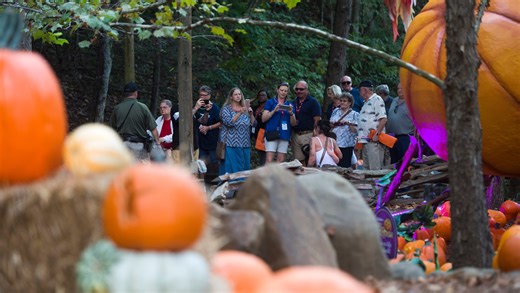 These Dollywood discounts for teachers, military, everyday heroes are just in time for Labor Day weekend but act quick!