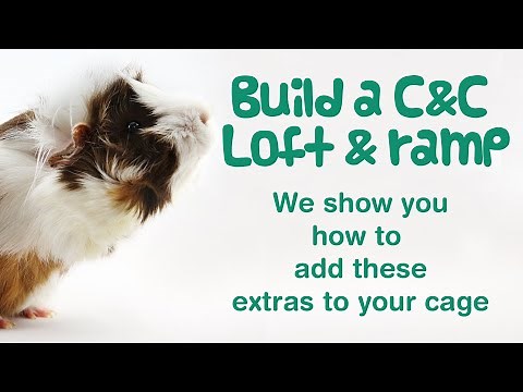 How to Make a LOFT & RAMP for a 2x4 GUINEA PIG C&C CAGE | 2x5, 2x6 Cages