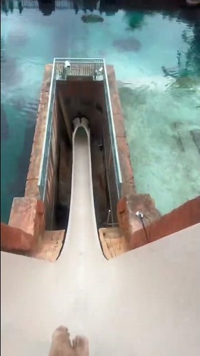 “Leap of Faith” Water Slide at Atlantis - Nassau, Bahamas