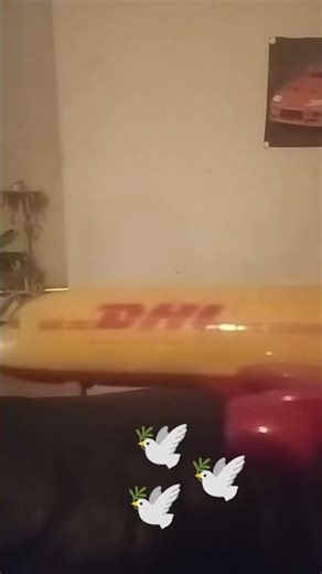 Pov les oiseaux quand ils voient un avion les dépasser