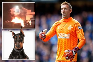 Rangers' McGregor beefs up home security with pricey guard dog after car attacks