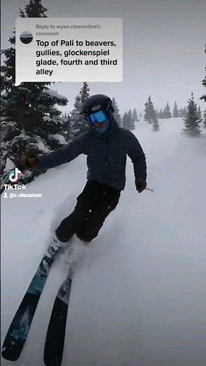 Moment Wildcat 108 Ski Review