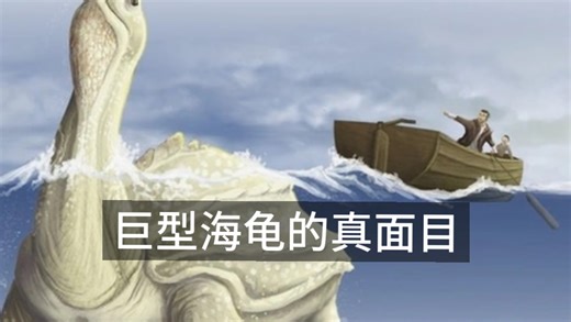 【UMA播客】万龟之父：巨大海龟型水怪的目击与假说
