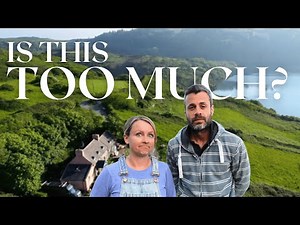 When Everything Needs You at Once | Abandoned Cottage Reno & Homestead Update