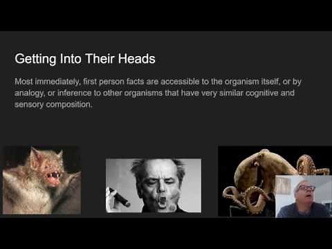 Understanding Nagel's "What's it like to be a bat" argument