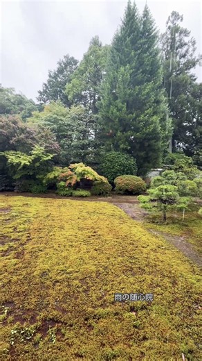 雨の随心院