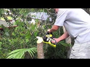 Ryobi 36v Chainsaw Review
