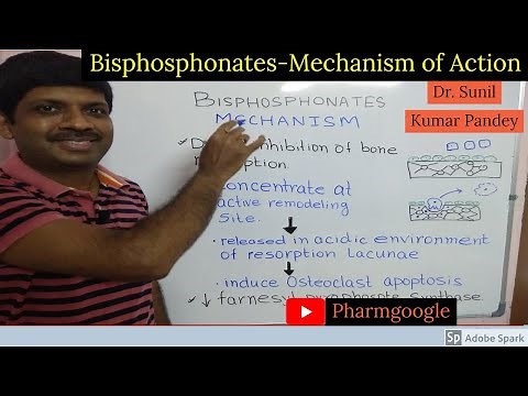 Bisphosphonates Pharmacology II Bisphosphonate Pharmacology II Bisphosphonate Mechanism of Action II