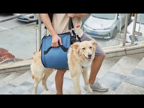 COODEO Dog Carry Sling, Emergency Backpack Pet Legs Support & Rehabilitation Dog Lift Harness.