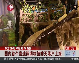 国内首个泰迪熊博物馆31日落户上海