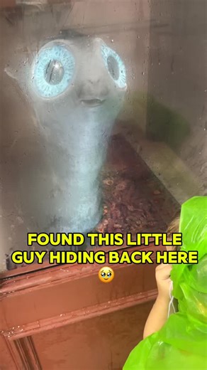 Johnathan Alex Turner on Instagram: "The most adorable animatronic I’ve ever seen. The Mooncalf from the Fantastic Beasts and Where to find them series from the Wizarding world. It’s one of the many animal animatronics hidden amongst the Harry Potter and the Ministry of Magic Section of Epic Universe theme park at Universal Studios Orlando Florida"