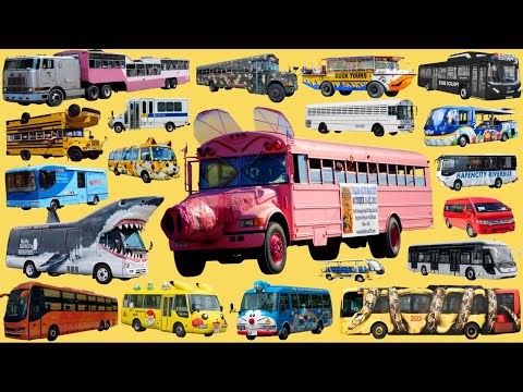 BUS Transportation Name and Sound | Bus Collections | School Bus, City Bus, Coach, Police Bus