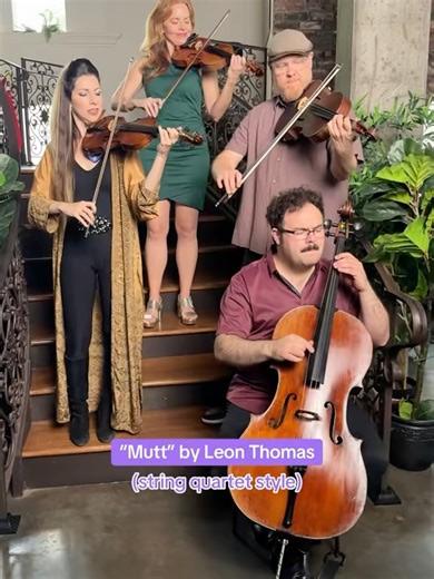 Vitamin String Quartet on Reels