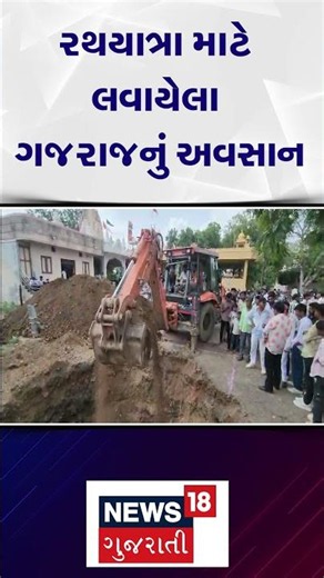 Dahod Gajaraj Death News | રથયાત્રા માટે લવાયેલા ગજરાજનું અવસાન | Gujarati Samachar | N18S #shorts