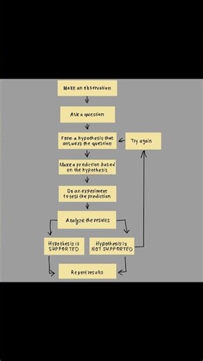 What is a Hypothesis? | Scientific Method Flow Chart Explained