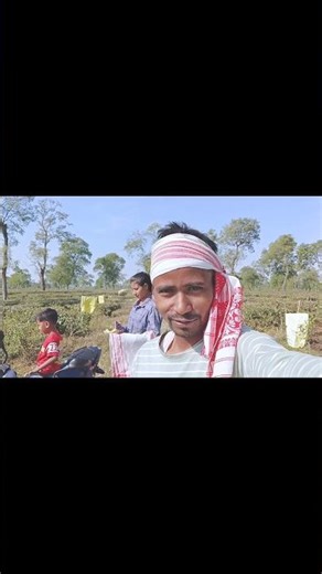 Dhan kotar din #viralVillage Life #adivasivoice #trandingshorts