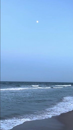 Assateague Island National Seashore Beach