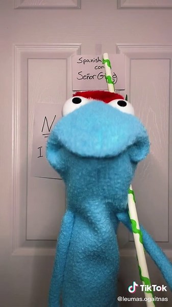 Señor Greg: Fun and Engaging Spanish Lessons