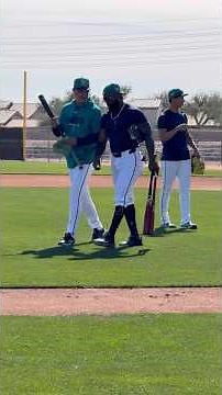 Mariners SPRING TRAINING - Seattle Mariners - SPRING TRAINING 2026 - MLB - Randy Arozarena - #mlb