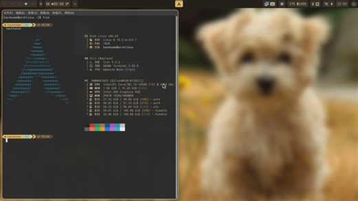 求助求助求助! arch-niri下 “conky 系统监控”window-rule参数出错