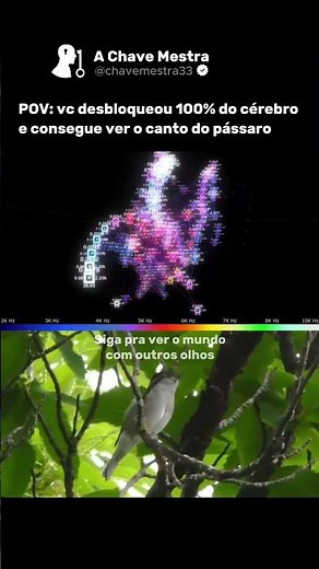 Enxergamos apenas 0,0035% de todo o espectro eletromagnético 🤯