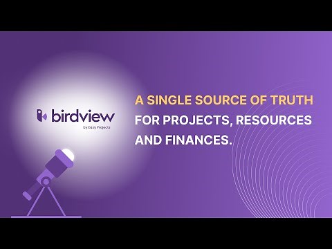 Professional Services Automation Software Overview | Birdview PSA