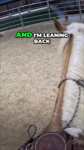 Working on turning on the haunches with this horse, without a bridle. Planting her back feet is key to the maneuver. Good girl! #HorseTraining #Haunches #Bridleless #HorsebackRiding | Ed's Walking Horses