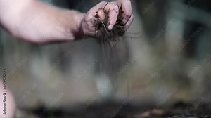 taking a soil sample for a soil test in a field. Testing carbon sequestration and plant health