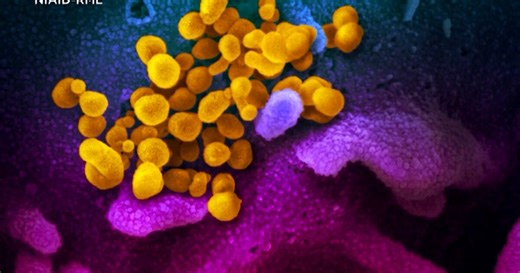 County-by-county look at COVID-19 cases in Virginia; which areas saw most cases last week