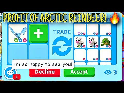 😱🔥DAMN! THEY OVERPAID BY AN ARCTIC REINDEER… FOR MY NEON FROST DRAGON! + GOT A MEGA GAELIC FAE!