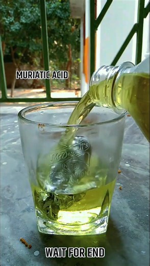 Aluminium Reaction With Muriatic Acid 😮 #shorts