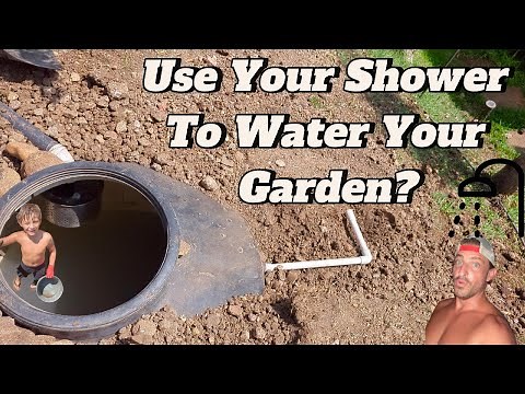 Use Your Shower to Water Your Garden - DIY Gray Water System