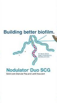 Why your inoculant strain matters #agriculture #westcdnag