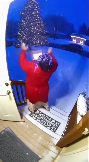 Santa's Surprise: Holiday Prank Caught on Camera #prank #porchpirate