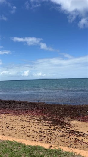 Chicago Bear (@chicagobear4)’s videos with Dogi Funk - Robo Do Funk