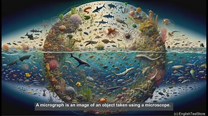 Micrograph in biology