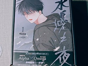 水边之夜/台版漫画/便宜出～