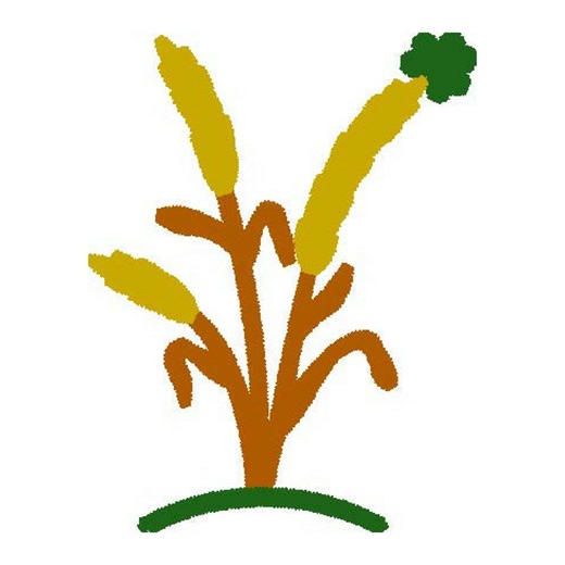 Meadows Golf Club | Lincoln Park NY