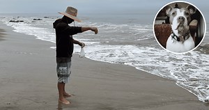 A Poignant Goodbye: Kenny Chesney Honors Beloved Dog Ruby with Beachside Ash Scattering