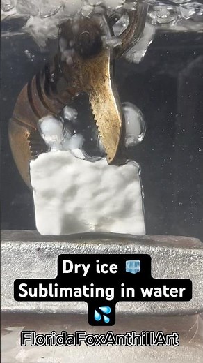 Dry ice 🧊 Sublimating in water 💦 #science #satisfying #ice #experiment #asmr