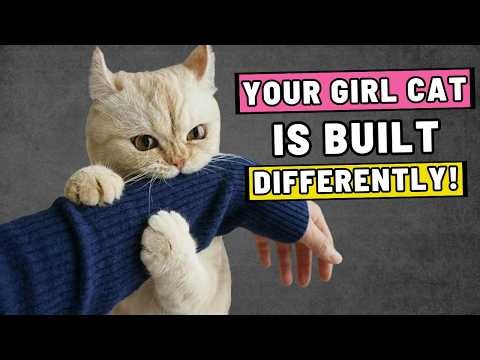 Why Female Cats are NOT Like Males: 9 Things You Must Know