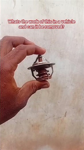 why you should remove this from your vehicle #automobile #top #uncover #mechanic