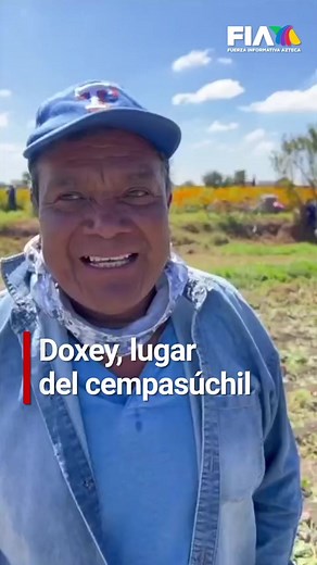 🏵️ La belleza de los campos de cempasúchil 🏵️ Los campos de flor al sur del estado de Hidalgo se visten de colores para el Día de Muertos, un tapiz lleno de vida es el que se aprecia en Doxey, son más de 111 hectáreas sembradas de cempasúchil, nube blanca, girasoles y otras flores. 📹: @Leon #AztecaNoticias #tiktokinforma #Cempasuchil #DíaDeMuertos #CamposCempasuchil
