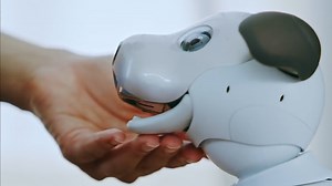 Sony's robot dog is back and better than ever