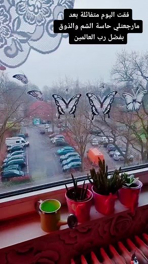 #روتيني_لليوم💕 #تابعوني #fypシ #اكسبلور #fyp