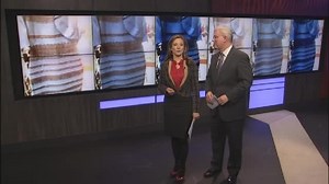 Why People See Different Colors in The Dress