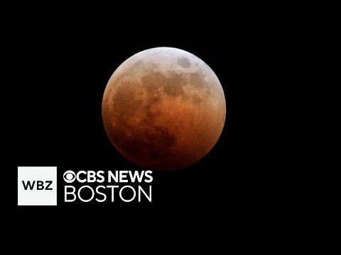 What happens during a lunar eclipse? NASA scientist explains