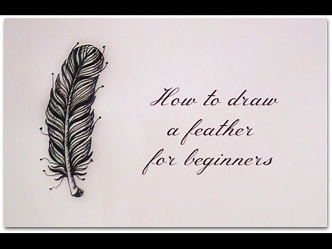 how to draw a feather - easy version for beginners